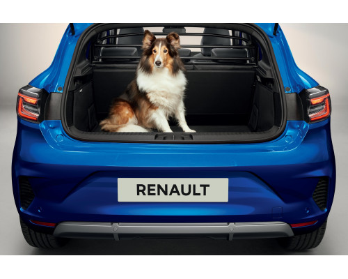 Renault CLIO October 2019 onwards Partition grille 