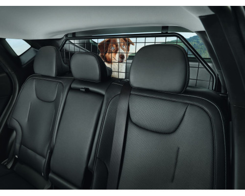 Kia EV6 2024 onwards Dog guard