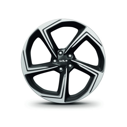 Alloy wheel kit 21", type-A