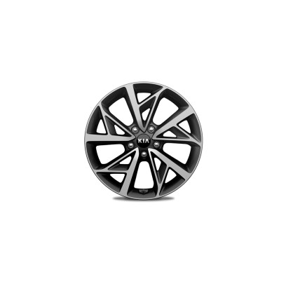 Alloy wheel kit 18", type-B