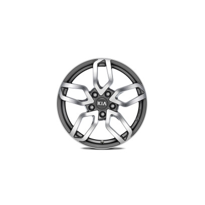 Alloy wheel 17'', Goyang, bicolour