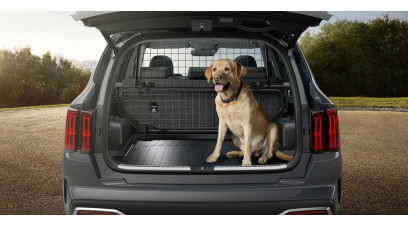 Kia Sorento 2021-2023 Dog guard, lower frame